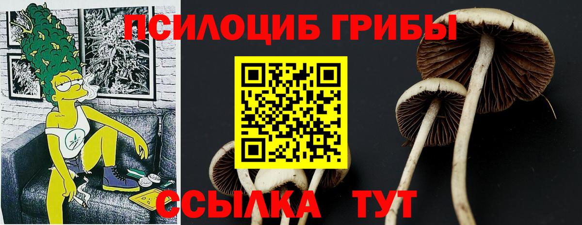 Лысьва  наркотики  Вход с VPN  Псилоцибиновые грибы Psilocybine cubensis 